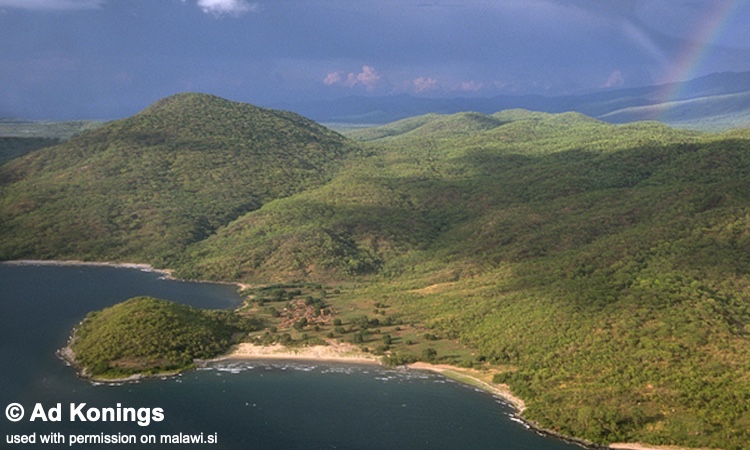 Chinuni 01